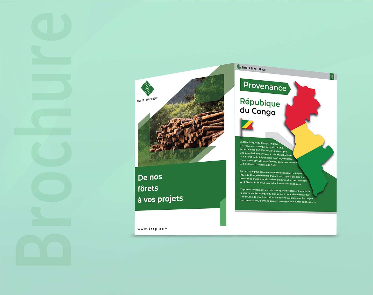 Brochure Design for Timber Trade Group