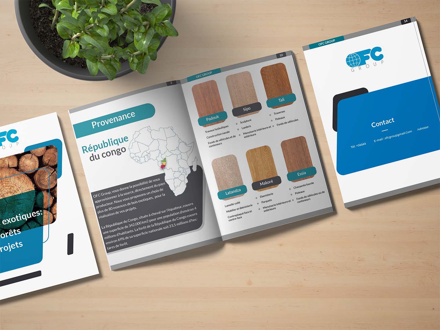 Brochure Design for OFC GROUP